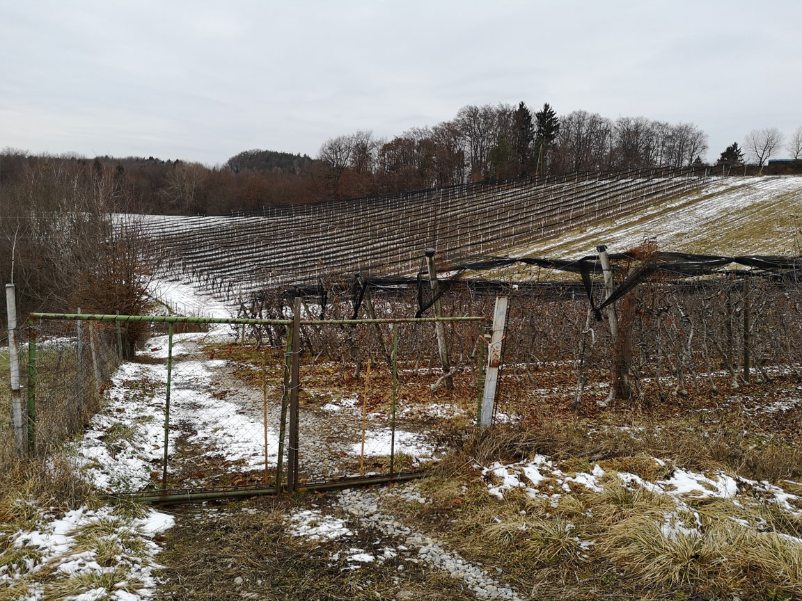 EVA_Producer_Blog_January_2019_1